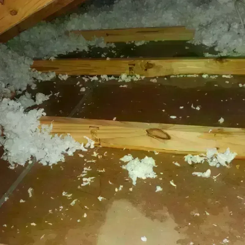 Attic Water Damage in Charlotte County, VA