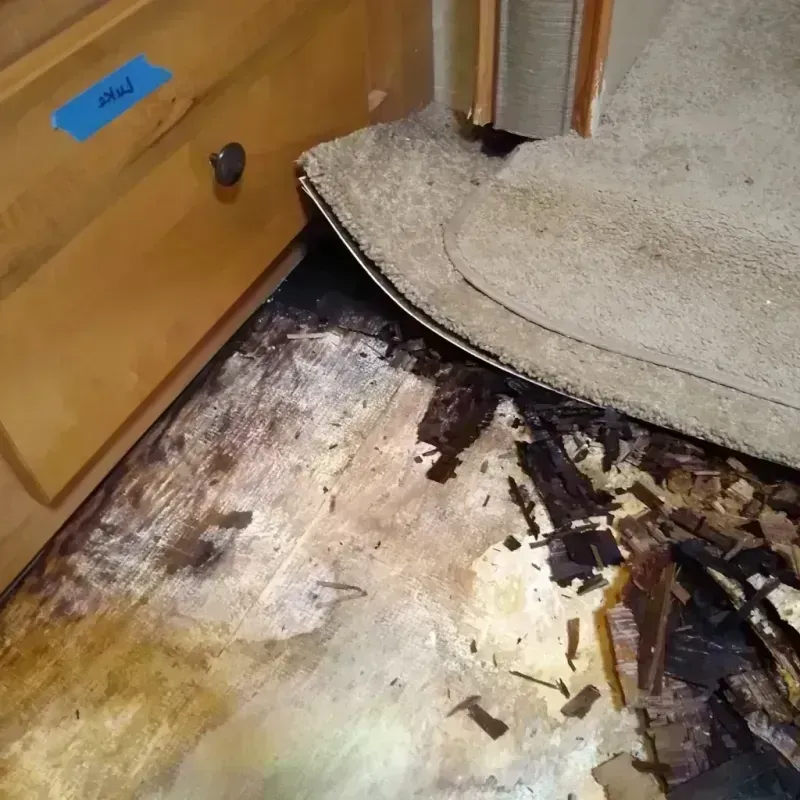 Wood Floor Water Damage in Charlotte County, VA